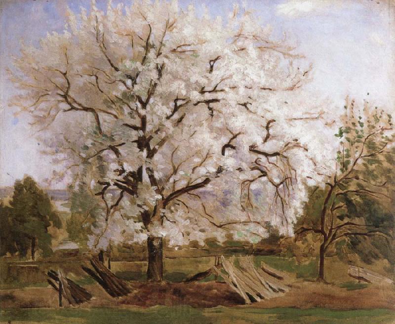 Carl Fredrik Hill apple tree in blossom